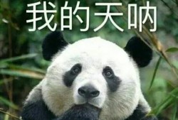 (国酒是什么酒)茅台为什么敢称国酒?
