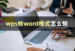 (wps改写模式在哪里)wps如何转成word文档格式?教你几招文档格式的转换技巧