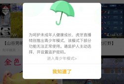 (快手怎么未成年退款?)实名认证可绕行、青少年模式有漏洞，未成年人直播打赏怎么管?