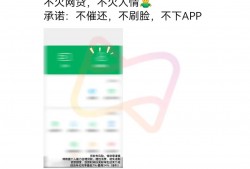 (最长60期的分期网贷)借款最高可分96期?网络小贷公司涌入社交获客