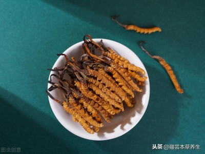 冬虫夏草的功效与作用及食用方法 冬虫夏草从挑选、吃法、用量到功效和保存方法的注意事项