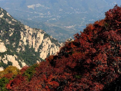 （五岳是指哪五座山?）五岳归来不看山五岳是指哪五座山?看了最美的山，其他的不用看了