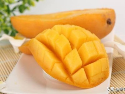（芒果是什么季节丰收的水果）芒果的季节一般是几月份能吃?