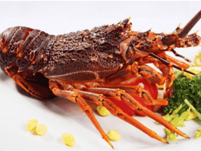 （波龙和澳龙哪个档次高）波龙和澳龙哪个贵 澳龙和波龙有什么区别