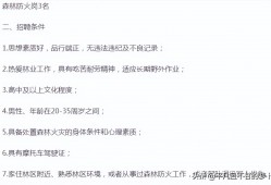 (护林员一个月工资多少钱?)临时工护林员岗位面试心得体会