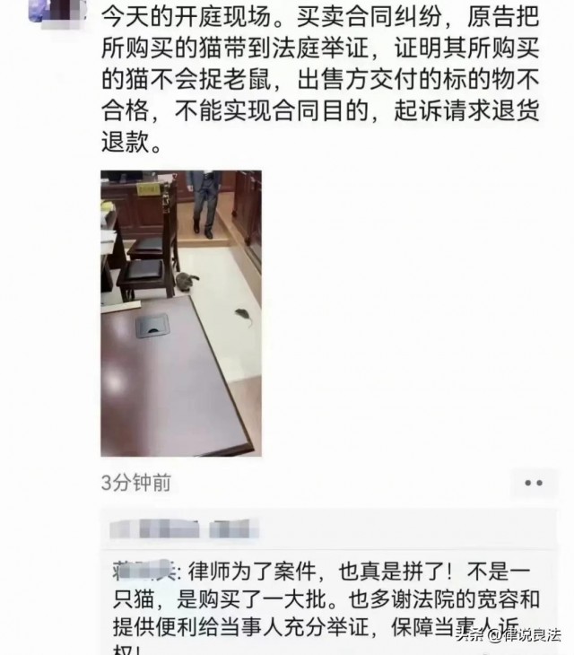 这几个动作，可能让血压瞬间增高!心内科专家:教你几招稳住血压|燕赵健康大讲堂（能让血压瞬间升高的办法）