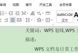 (wps加横线怎么加)怎么在Wps文档上划线,快捷划线的操作步骤