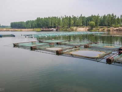 （中国的小龙虾产地有哪些）小龙虾的产地有哪些?中国各地小龙虾产地介绍