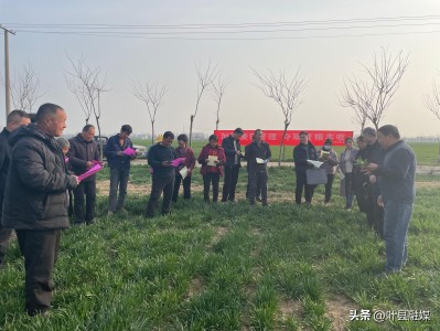 (郭旺个人资料简介)河南叶县郭旺:人生舞台立田间 一心向农望丰收