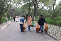 (什么能降低龟的灵敏度)乌龟之殇!每年新增3800万只，你的同情心，毁掉了本土乌龟