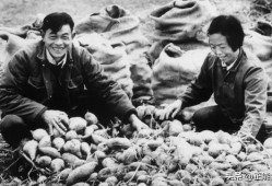 (退休金统一标准)全国退休金按国家统一标准发放，你认为可行吗
