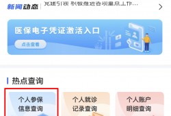 (医保余额查询)【医保指南】手机端和电脑端分别如何查询个人参保信息、账户余额，办理医保业务?