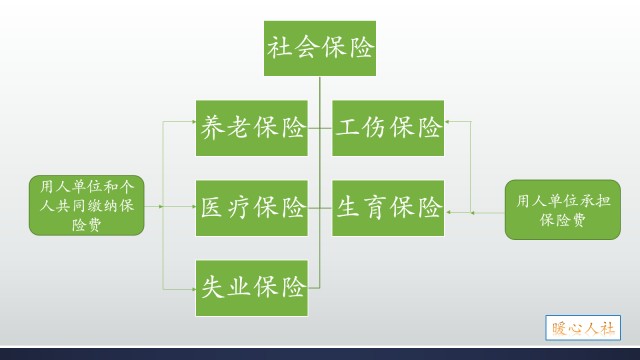 这几个动作，可能让血压瞬间增高!心内科专家:教你几招稳住血压|燕赵健康大讲堂（能让血压瞬间升高的办法）