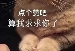 (珍珠项链保值吗)珍珠真的保值么?珍珠能保存多久呢?