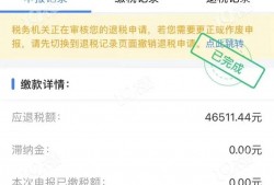 (个人所得税退税多久到账)个人所得税退税申报第一天，几家欢喜几家忧。有人退了四万多。