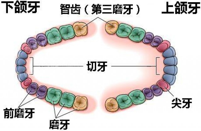 这几个动作，可能让血压瞬间增高!心内科专家:教你几招稳住血压|燕赵健康大讲堂（能让血压瞬间升高的办法）