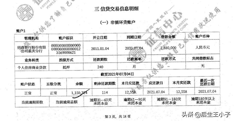 怎么看自己征信报告  第3张