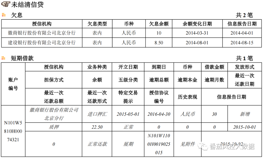 (征信报告)企业人行征信报告的全面梳理与数据介绍  第13张