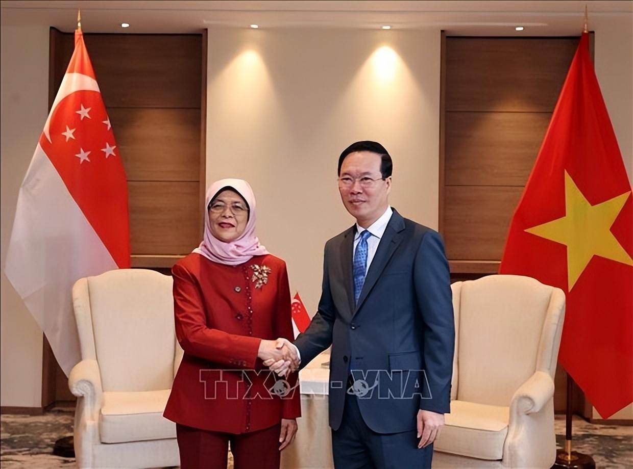 (越南总统)新加坡总统哈莉玛同越南国家主席武文赏会面 讨论加强新越双边关系  第1张