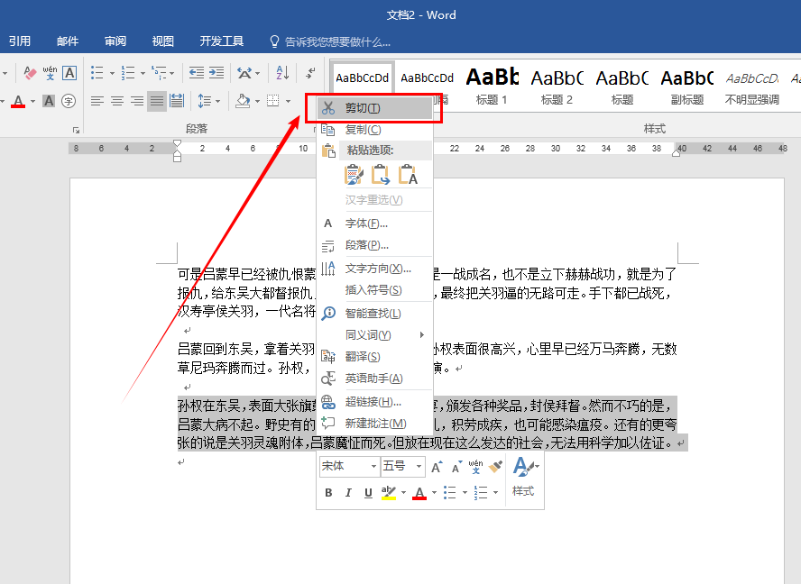 (wps打印设置在哪里)在Word或WPS中设置文字显示但不打印  第2张