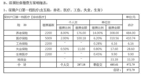 个人社保缴纳需要多少钱(武汉市个人缴纳社保多少钱)  第1张