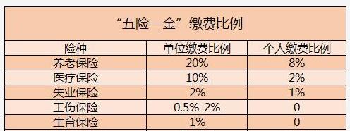 31岁一年社保交多少钱(四十二岁交社保一年多少钱)  第1张