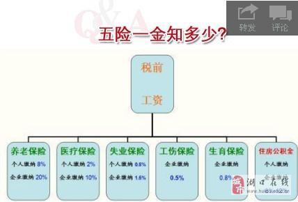 平安保险(平安保险车险电话人工服务)  第1张