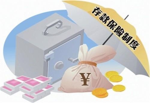 存款保险条例(存款保险条例自2015年5月1日起实施)  第1张