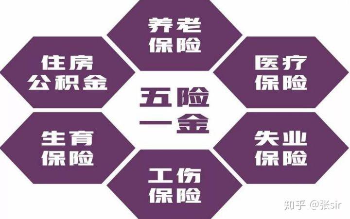 社会保险和五险一金的区别(社会保险和五险一金的区别查询余额)  第1张