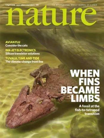 发一篇nature会有什么待遇,sci包括哪些期刊  第1张