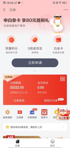 京东白条还不上怎么办,京东白条还不上可以协商还款吗  第1张