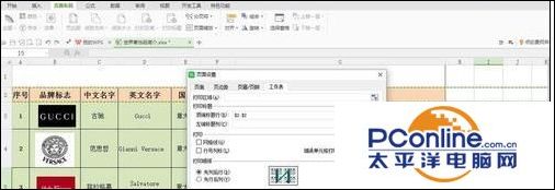 (wps表格表头每页都有怎么设置)wps表格表头如何在每页上打印  第9张