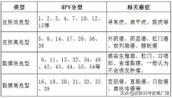 (hpv是什么病)HPV是什么病?哪些亚型需要重视?  第3张