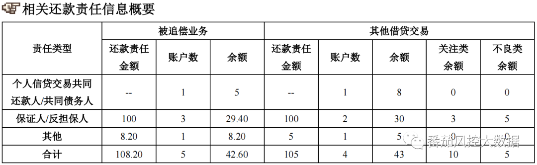 (征信报告)企业人行征信报告的全面梳理与数据介绍  第5张