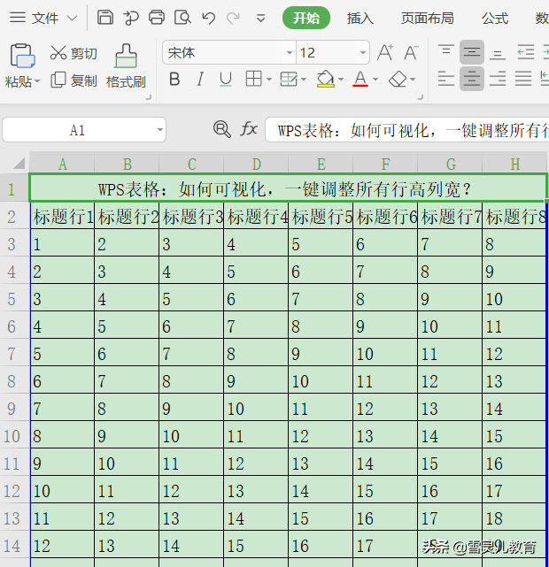 (wps表格如何设置列宽和行高)WPS表格:如何可视化,一键调整所有行高列宽? 第1张 (wps表格如何设置列宽和行高)WPS表格:如何可视化,一键调整所有行高列宽? 第1张
