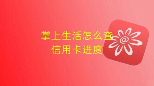 (掌上生活为什么有额度)掌上生活怎么查信用卡进度  第1张