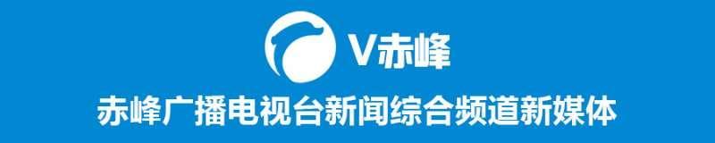 「扶贫贷款利率」赤峰市林西县扶贫办关于对《扶贫小额贷款》的公告  第3张