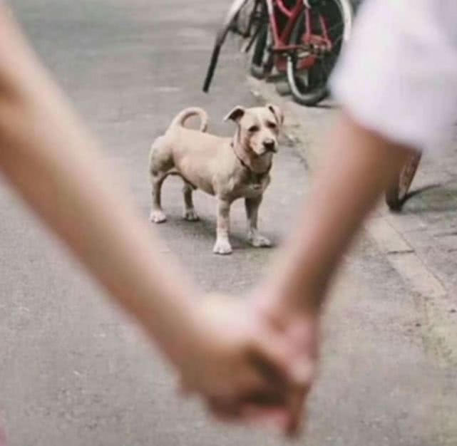 (天津离婚率)天津的结婚率离婚率对比以后，还能敢结婚嘛  第12张