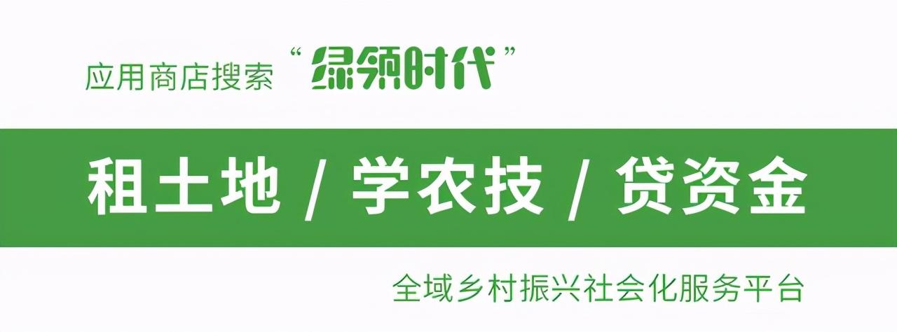 (建档立卡户是什么意思)建档立卡怎么申请?建档立卡户需要满足什么条件?  第1张