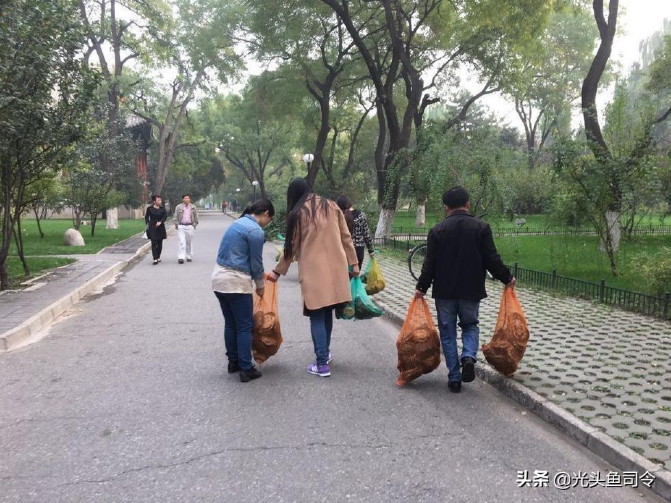 (什么能降低龟的灵敏度)乌龟之殇!每年新增3800万只，你的同情心，毁掉了本土乌龟  第3张