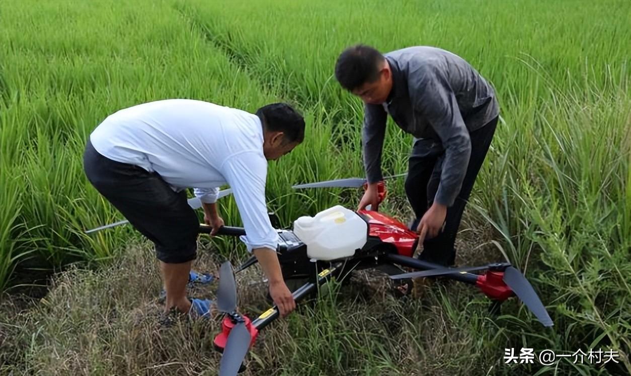 现在农村干啥挣钱?适合返乡农民工的5种小生意，都比打工强(藏在农村的暴利小生意)  第6张