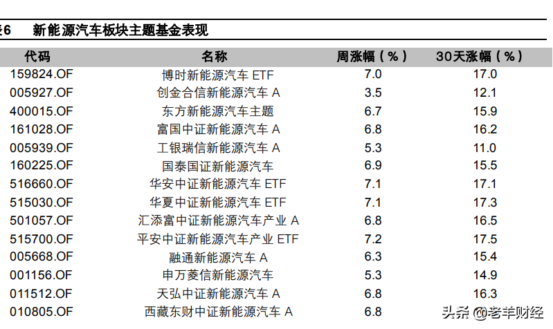 (新能源汽车股票)新能源汽车股票的未来是鲜花还是杂草?  第8张