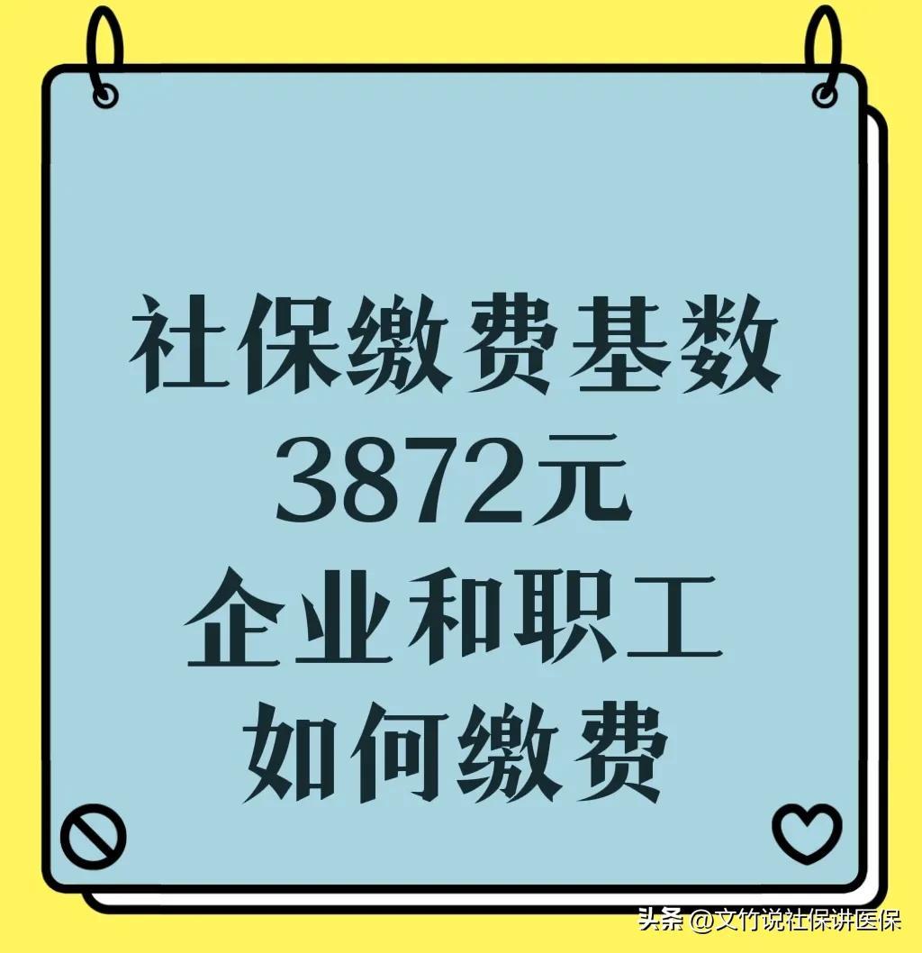 (单位社保交费比例)企业职工社保缴费基数为3872元，单位和个人按照什么比例缴费?  第1张