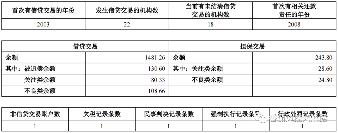 (征信报告)企业人行征信报告的全面梳理与数据介绍  第3张