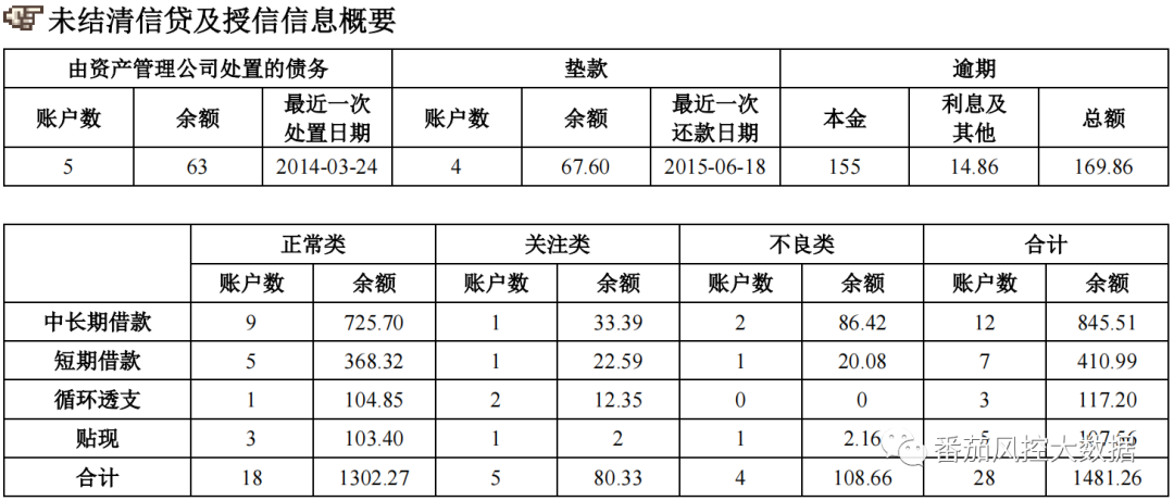 (征信报告)企业人行征信报告的全面梳理与数据介绍  第4张