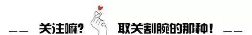 (十大聪明犬排名)狗狗智商排名，世界最聪明的十大狗狗，你知道哪些?  第11张