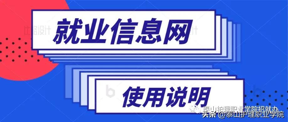 (山东就业信息网)山东高校毕业生就业信息网使用说明  第1张