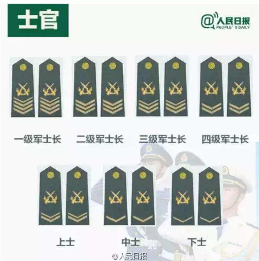 (一级士官退伍费是多少)中国兵王一级军士长到底有多少?享受专属待遇，还能不能再晋升?  第5张