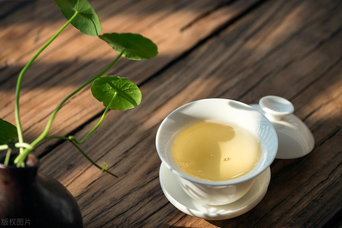 中国茶叶排名 ChatGPT评中国十大名茶排行榜  第4张