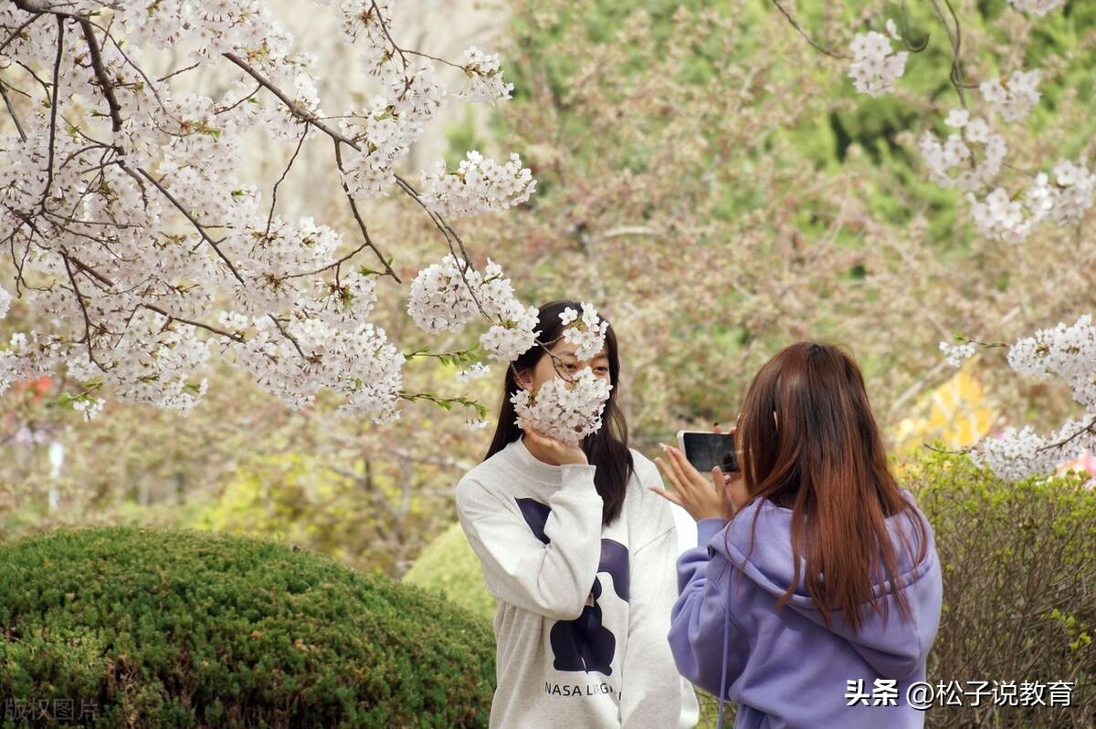 （东北财经大学什么档次）财经类大学的无冕之王，东北财经大学怎么样?这篇文章告诉你答案  第3张